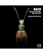 Bach: Sonates et partitas, BWV 1001-1006