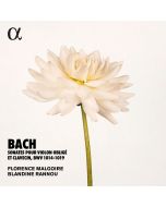 Bach: Sonates pour violon obligé et clavecin