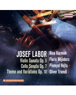 Labor: Violin Sonata; Cello Sonata; Theme and Variations
