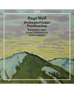 Wolf: Orchesterlieder; Penthesilea