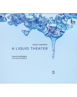 Camarero: A Liquid Theater