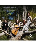 Beethoven: Piano Trios Vol. 2