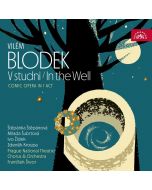 Blodek: V studni (In the Well)