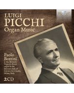 Picchi: Organ Music