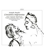 Haydn: L’incontro improvviso