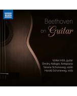 Beethoven on Guitar