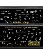 Borup-Jorgensen: Carambolage