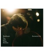Beethoven: The Last Three Sonatas