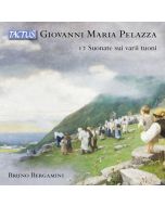 Pelazza: 12 Organ Sonatas