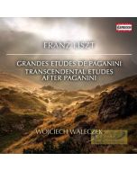 Liszt: Grandes Etudes de Paganini, Transcendental Etudes