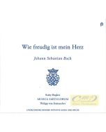 Bach: Kantaty "Mein Herz schwimmt im Blut" & "Ich habe genug"