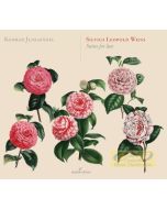 Weiss, Silvius Leopold: Suites for lute