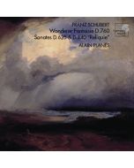 Schubert: Sonates v.VIII