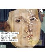 Bach: Missae breves
