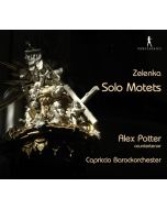 Zelenka: Solo Motets
