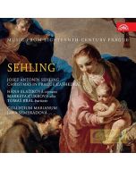 Sehling: Christmas in Prague Cathedral