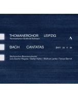 Bach: Cantatas BWV 33, 17, 99