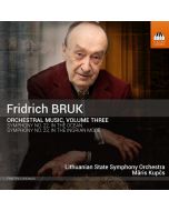Bruk: Orchestral Music Vol. 3
