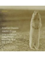 Brügge: American Classics