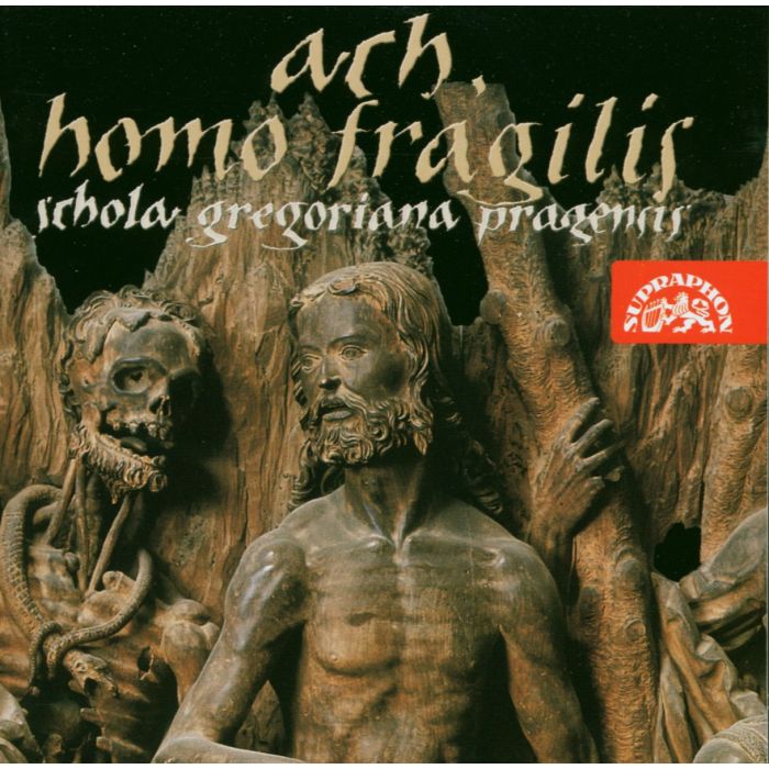 Ach, homo fragilis