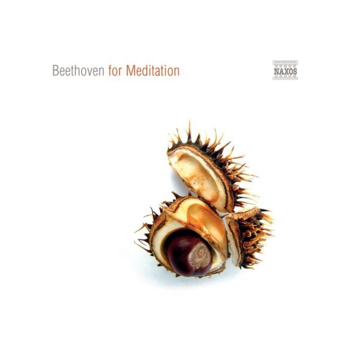 BEETHOVEN FOR MEDITATION