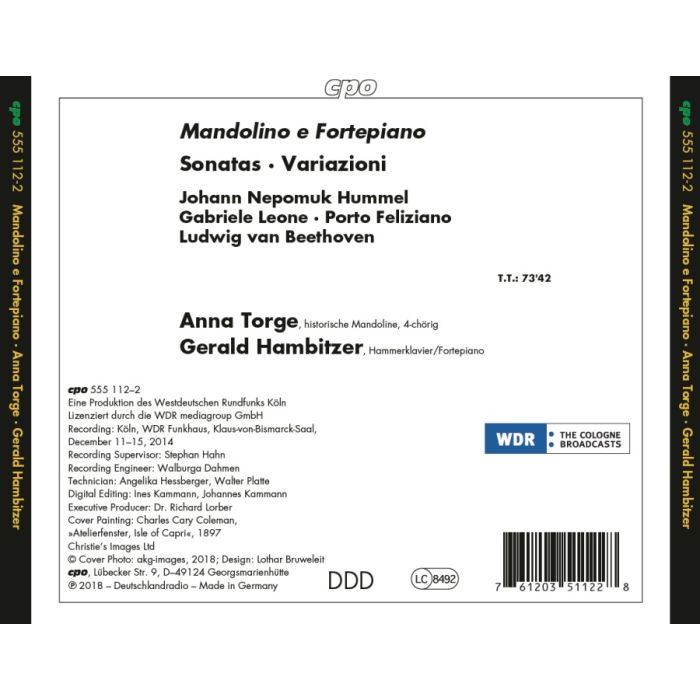 Mandolino e Fortepiano - slide-1