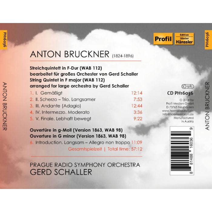 Bruckner: Quintet in F Major; Ouverture in G Minor - slide-1