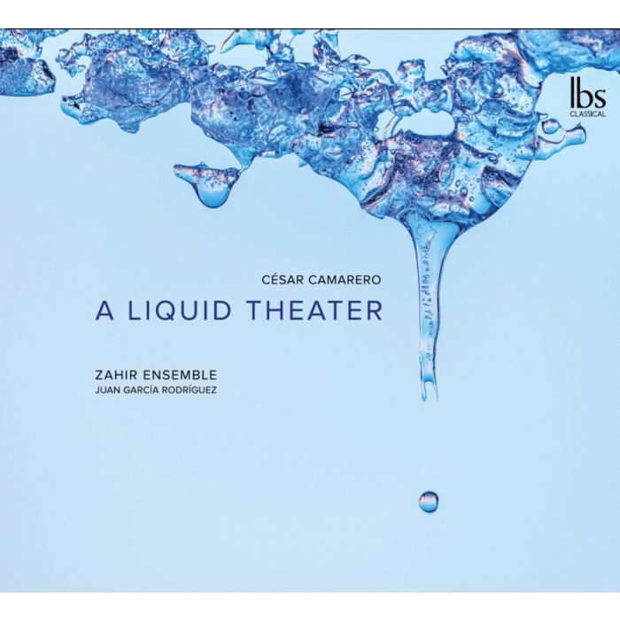 Camarero: A Liquid Theater
