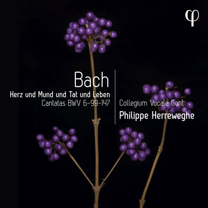 Herz und Mund und Tat und Leben - Bach: Cantatas BWV6-99-147