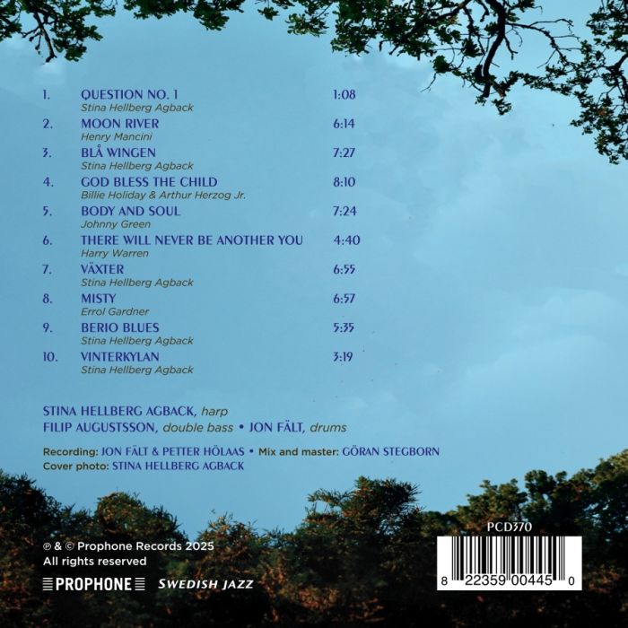 The Standard is the Standard - slide-3