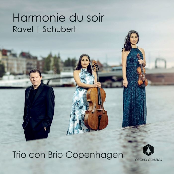 Harmonie du soir - slide-1
