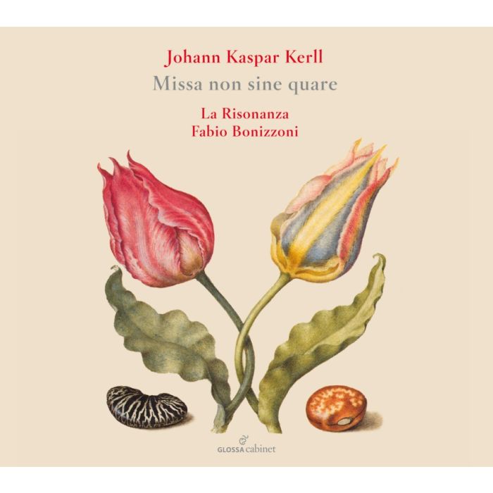 Kerll: Missa non sine qua