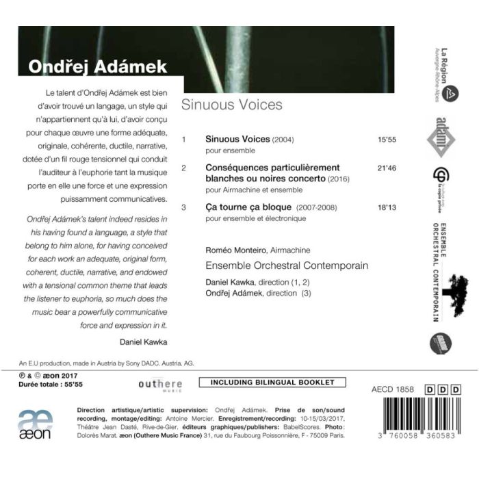 Adámek: Sinuous Voices - slide-1