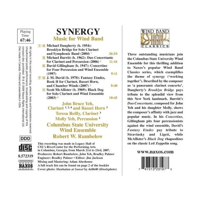 Synergy - slide-1