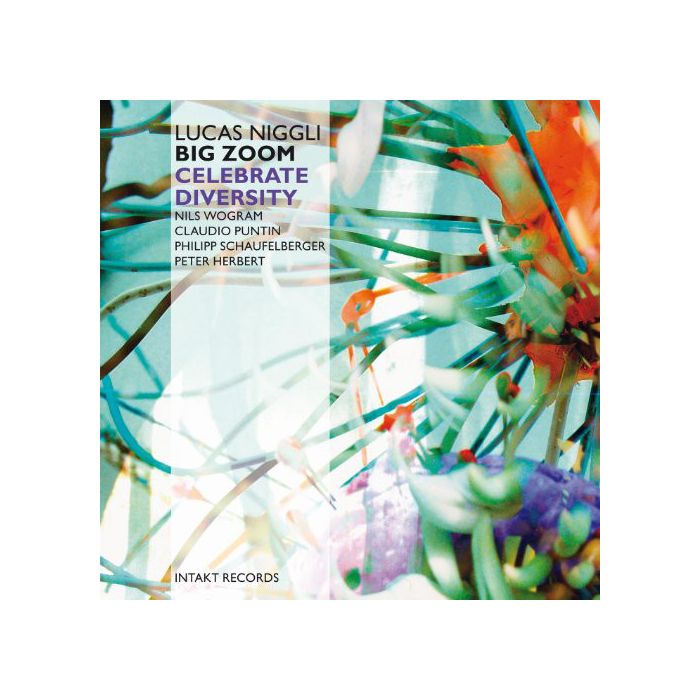 Lucas Niggli: Celebrate Diversity