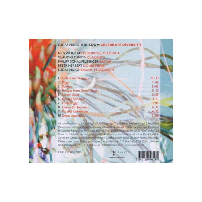 Lucas Niggli: Celebrate Diversity - slide-1