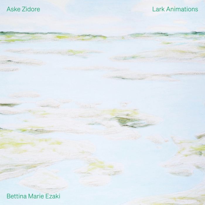 Zidore: Lark Animations (LP)
