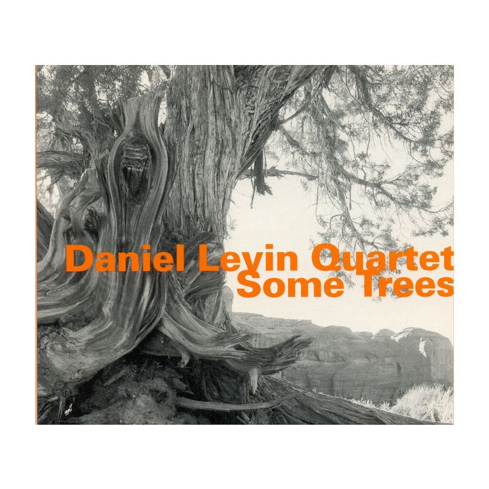 Daniel Levin Quartet: Some Trees