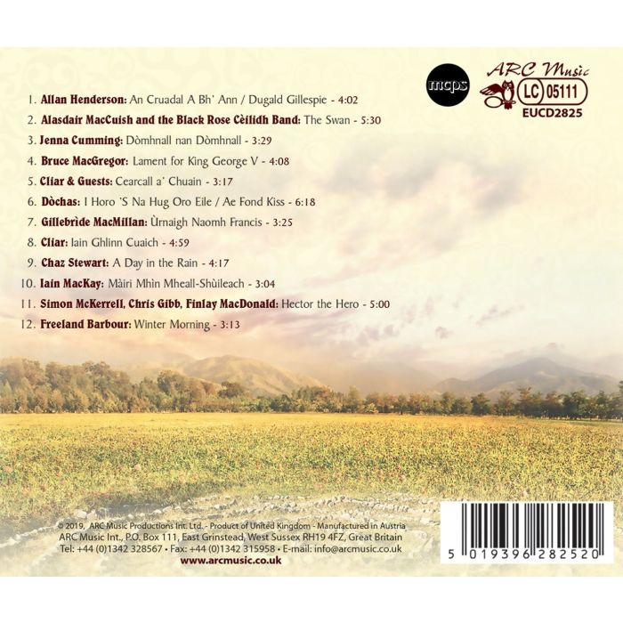 Celtic Visions - slide-1