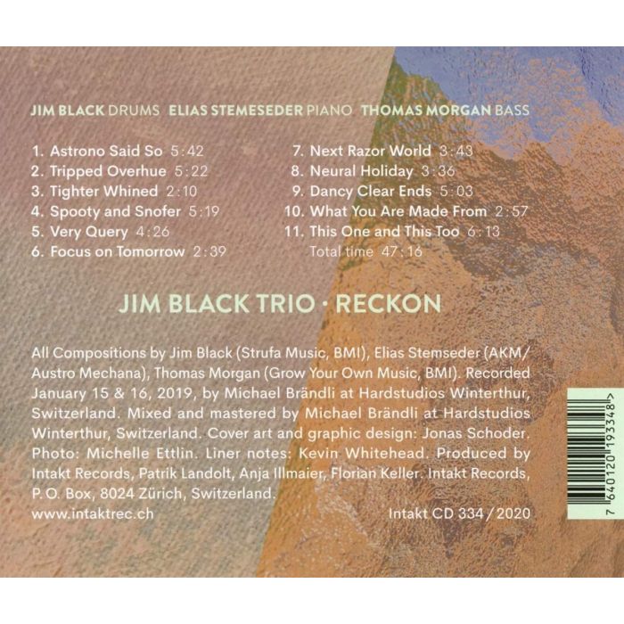 Jim Black Trio/Stemeseder/Morgan: Reckon - slide-1