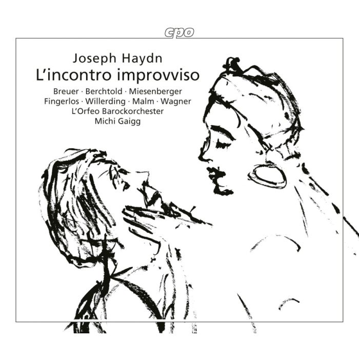 Haydn: L’incontro improvviso