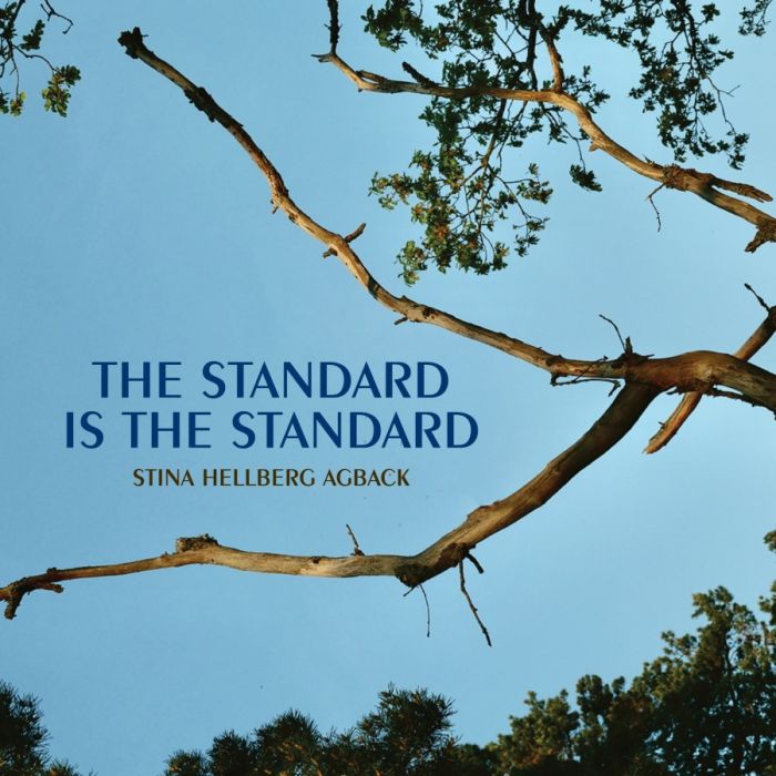 The Standard is the Standard - slide-1