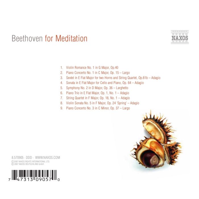 BEETHOVEN FOR MEDITATION - slide-1