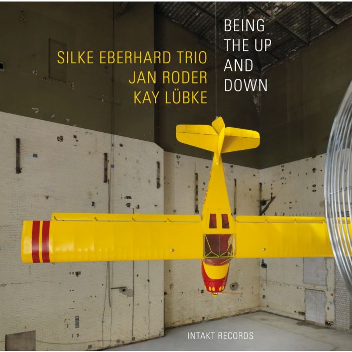 Eberhard/Roder/Lübke: Being the Up and Down
