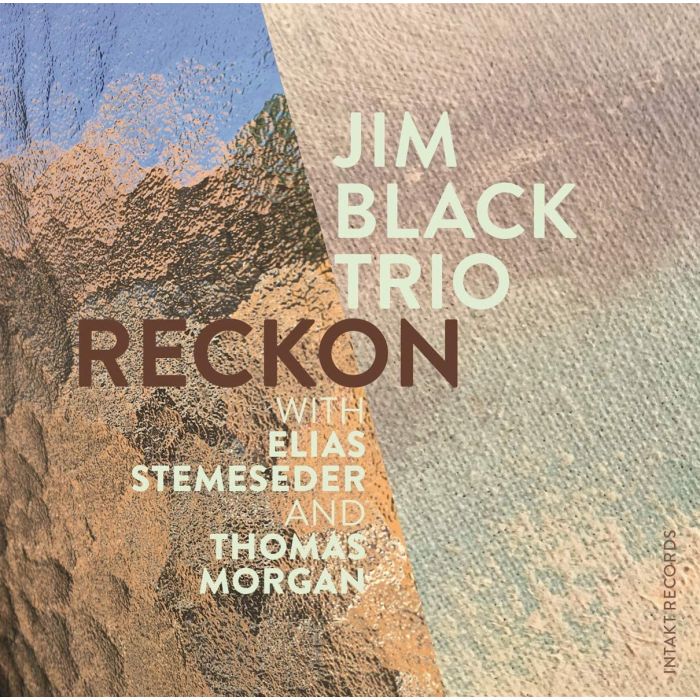 Jim Black Trio/Stemeseder/Morgan: Reckon