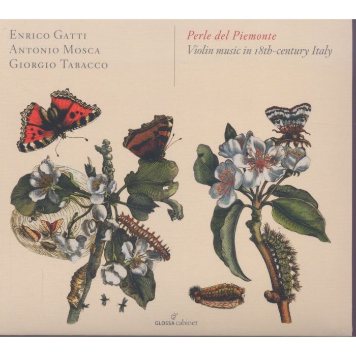 Perle del Piemonte, Violin music in 18th century Italy