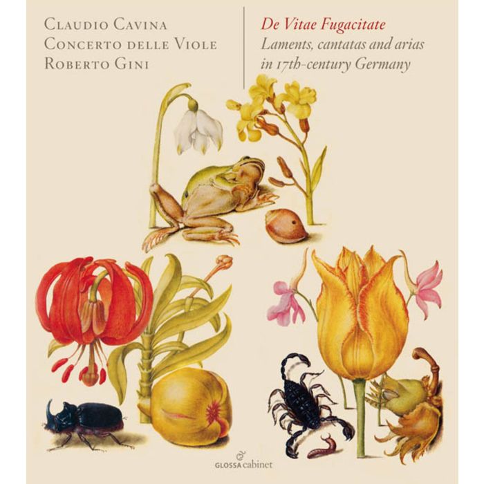 De Vitae Fugacitate, Laments, cantatas and arias in 17th-century Germany