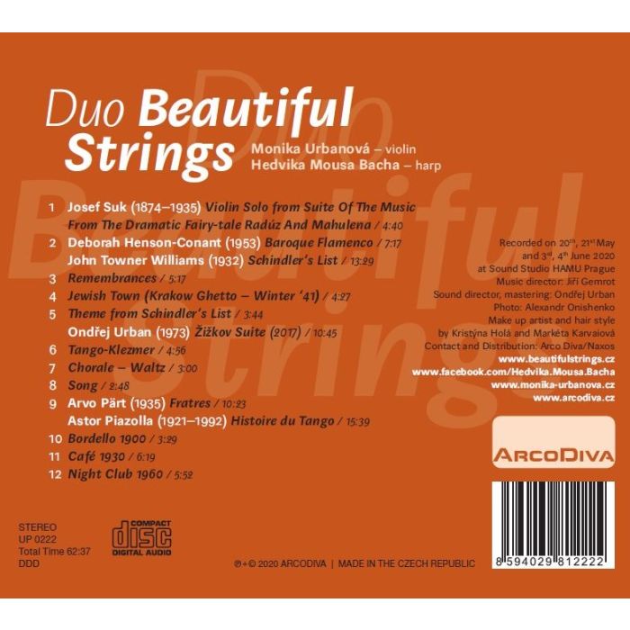 Duo Beautiful Strings - slide-1