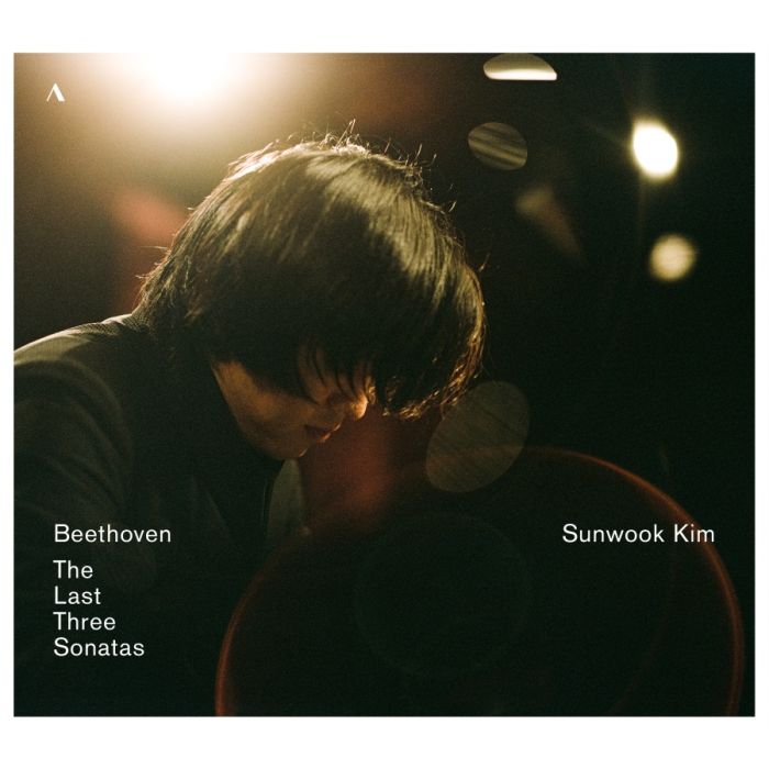 Beethoven: The Last Three Sonatas