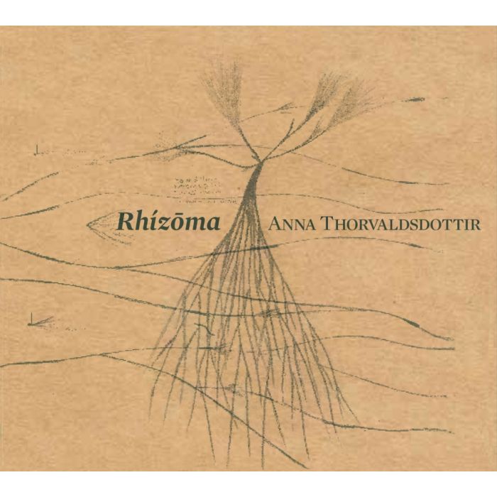 Thorvaldsdottir: Rhizoma